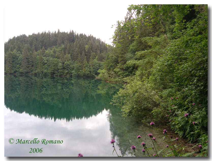 Insetti del Parco Adamello Brenta (TN): immagini e appunti